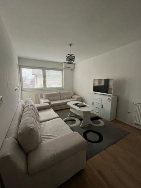 Chromatic Apartment